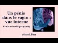 Un pénis dans le vagin durant une relation sexuelle enregistrée en Imagerie par résonance magnétique