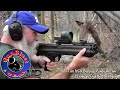 Shooting the 5.56x45mm SCR Semi-Automatic Sporting Carbine from Ares Defense Systems - Gunblast.com