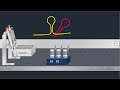 Northern Blot Method - Animated Video
