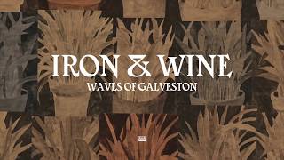 Watch Iron  Wine Waves Of Galveston video
