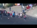 PERROS DE ATAQUE