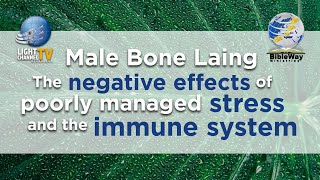 14. The negative effects of poorly managed stress and the immune system - Male Bone Laing