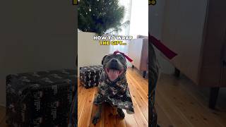 The Best Christmas Gift