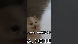 Аааааа, Женщина #Женщины #Женщина #Аа #Women #Woman #Aaaaaa #Котик