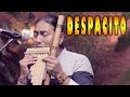Luis Fonsi - Despacito ft. Daddy Yankee - Flute - Instrumental