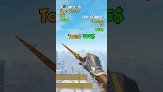 Best Knife-Glove-Combo Under 1000