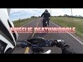 wheelie death wobble