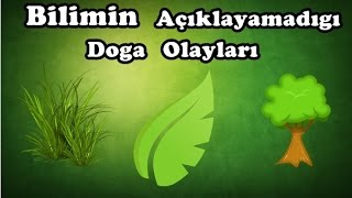 Bilimin Açıklayamadığı Doğa Olayları