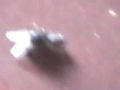 Heboh Masih Kecil Sudah Mesum images Heboh Masih Kecil Sudah Mesum