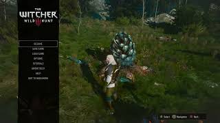 Witcher 3 Death March Guide Arachas Venom Location