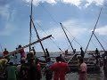 Dhow Race, Shela, Lamu Island - Kenya