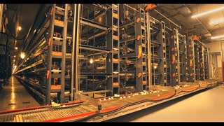 GPC Corporate film