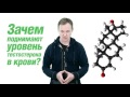 Секреты спортивного питания. (Владимир Молодов) Секреты спортивного питания. (Владимир Молодов)