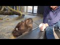 Zoo Monkey REACTS to a Magic Trick