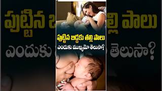 How Breastfeeding Helps Baby Growth In Telugu Ashwini Hospital