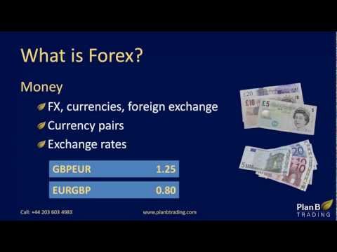 Forex worldwide training