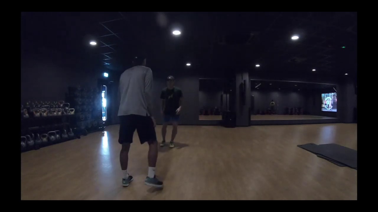 動画