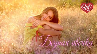 Бедная Овечка Русская Музыка Wlv New Songs And Russian Music Hits Russische Musik Hits