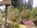 hotel di puncak