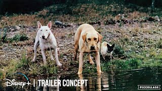 Homeward Bound 3 A New Journey - Trailer Concept