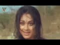 Video Shandaar 1990 Hindi Full Movie || Mithun Chakraborty, Mandakini, Meenakshi Seshadri, Juhi Chawla