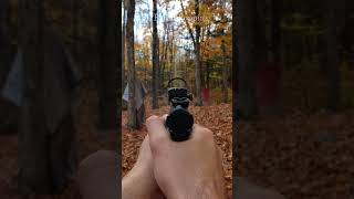 Ruger Mark Iv