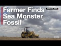 Farmer finds sea monster fossil