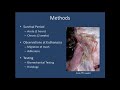 SS13 Hernia: S080 LAPAROSCOPIC FIXATION OF BIOLOGIC MESH AT THE HIATUS WITH FIBRIN