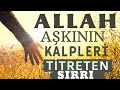 ALLAH AŞKININ KALPLERİ TİTRETEN SIRRI | GÖZLERİNİ KAPAT VE DİNLE! (ALLAH AŞKI - İLAHİ AŞK)