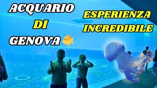 Alla Scoperta Dei Segreti Dellacquario Di Genova Unavventura In Famiglia