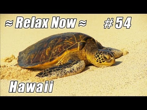 Beaches Ocean Waves #54 HD Sea