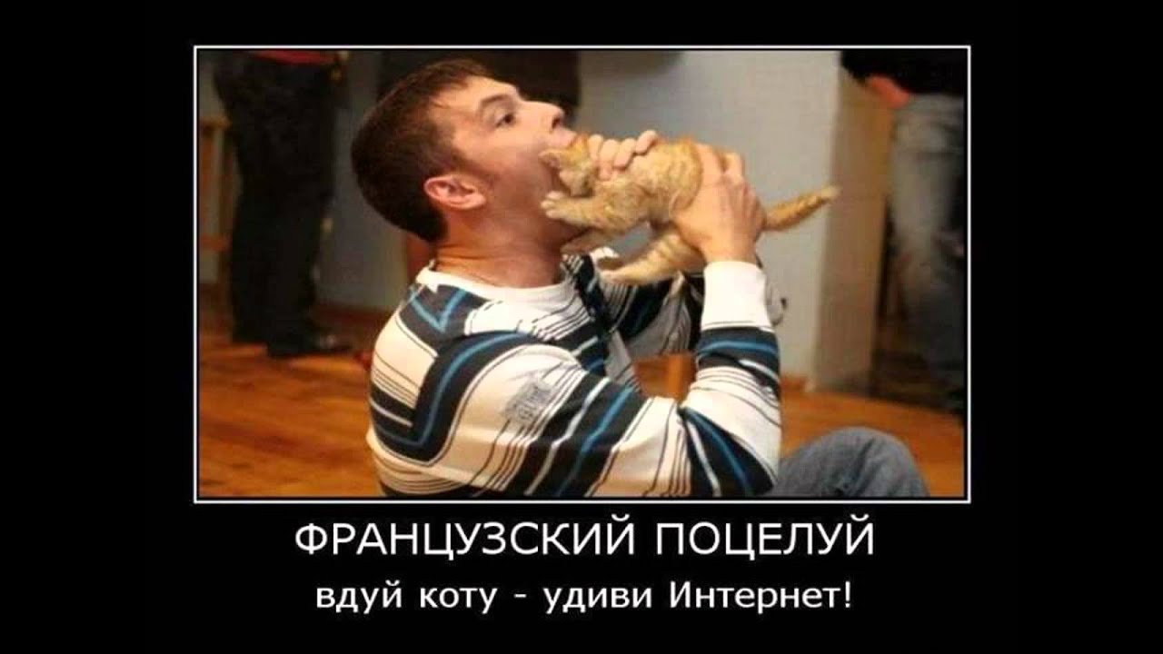 вдул прикол Вдул прикол