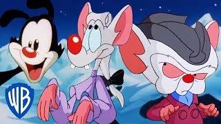 Watch Animaniacs Pinky And The Brain video