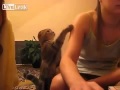 Kendini Zorla Sevdiren Kedi