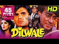 Dilwale (HD) (1994) Full Hindi Movie | Ajay Devgn, Suniel Shetty, Raveena Tandon,Paresh Rawal