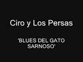 Blues Del Gato Sarnoso Video preview