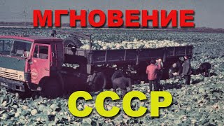 Несколько моментов с грузовиками СССР времен нашей молодости!