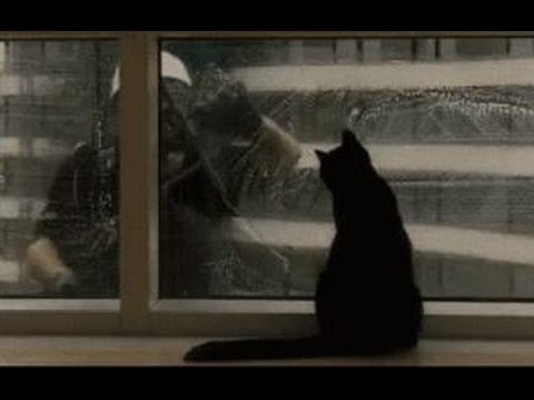 Соблазнила Мойщика Окон Секс Видео