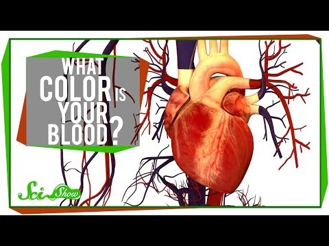 What Color is Your Blood?