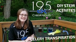 Team 195 At Home DIY STEM Videos: Celery Transpiration Experiment!