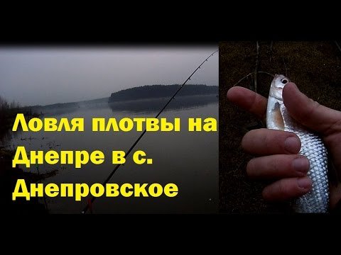 снасть для ловли тарани на днепре снасть для ловли тарани на днепре