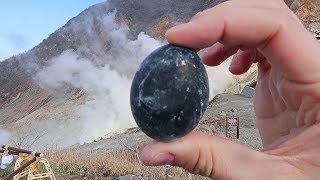 Black Eggs Taste Test