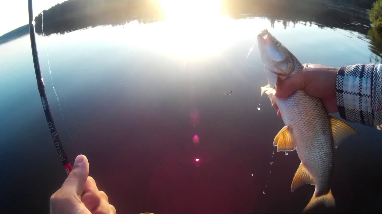 Ловля окуня спиннингом на реке видео Ловля окуня спиннингом на реке видео