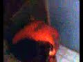 Bokep Boy images Bokep Boy