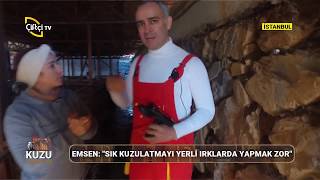 Küçükbaş Yetiştiriciliğinde Sık Kuzulatma - KUZU FABRİKASI / Çiftçi TV