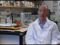 reprogrammed stem cells