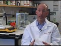 reprogrammed stem cells