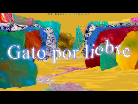 Gato Por Liebre Video