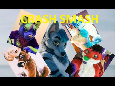 MY FURSUIT SMASH OR PASS ?