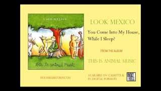 Watch Look Mexico You Come Into My House While I Sleep video